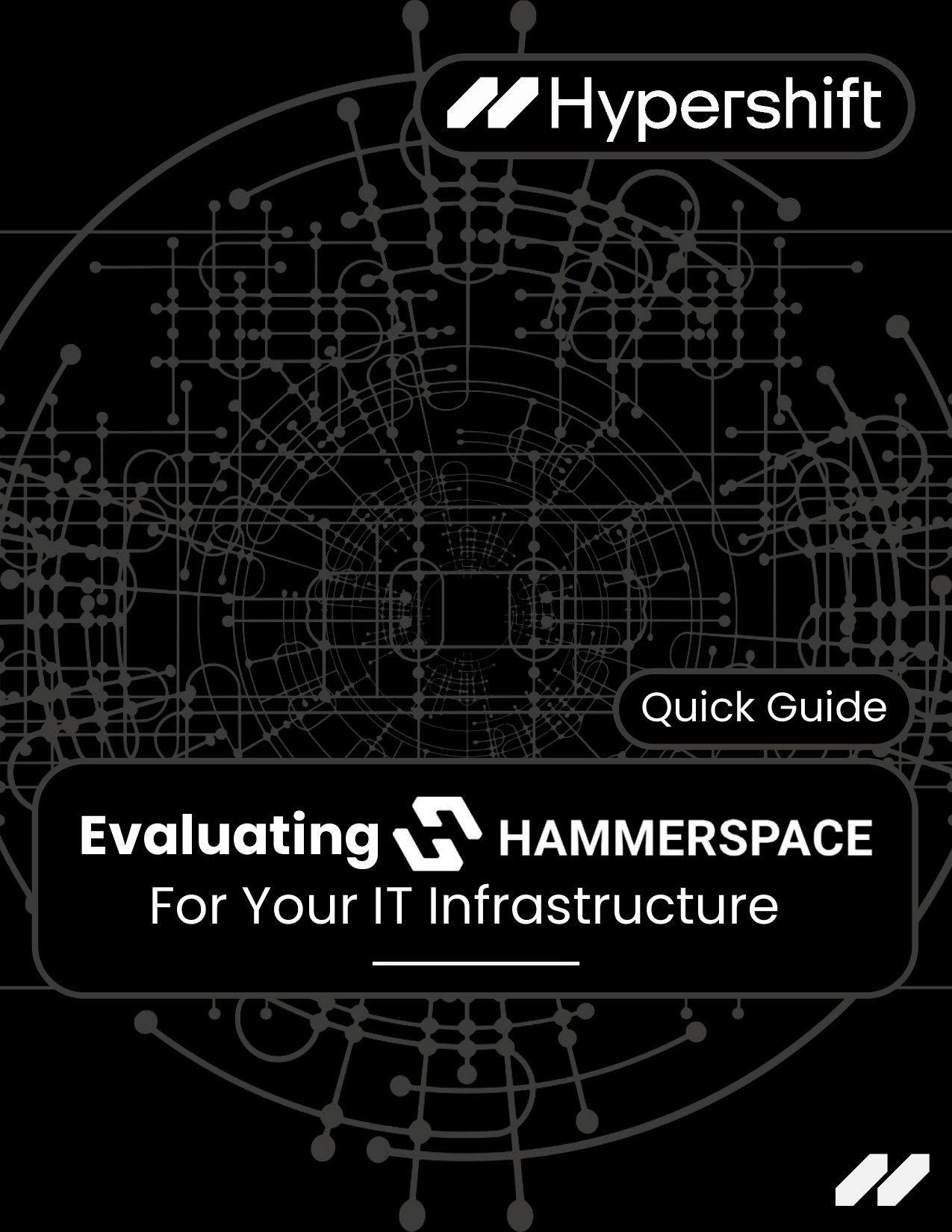 Hammerspace Guide